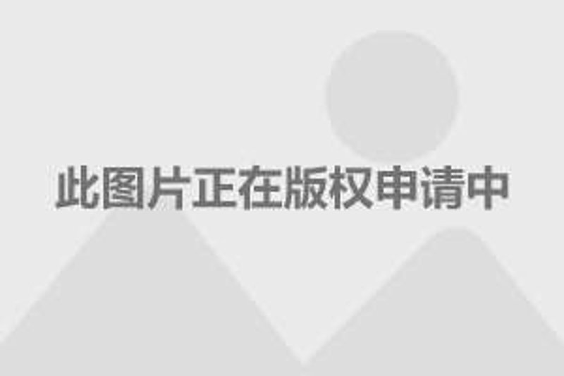 上海房价选购指南：如何在高楼林立中找到理想居所